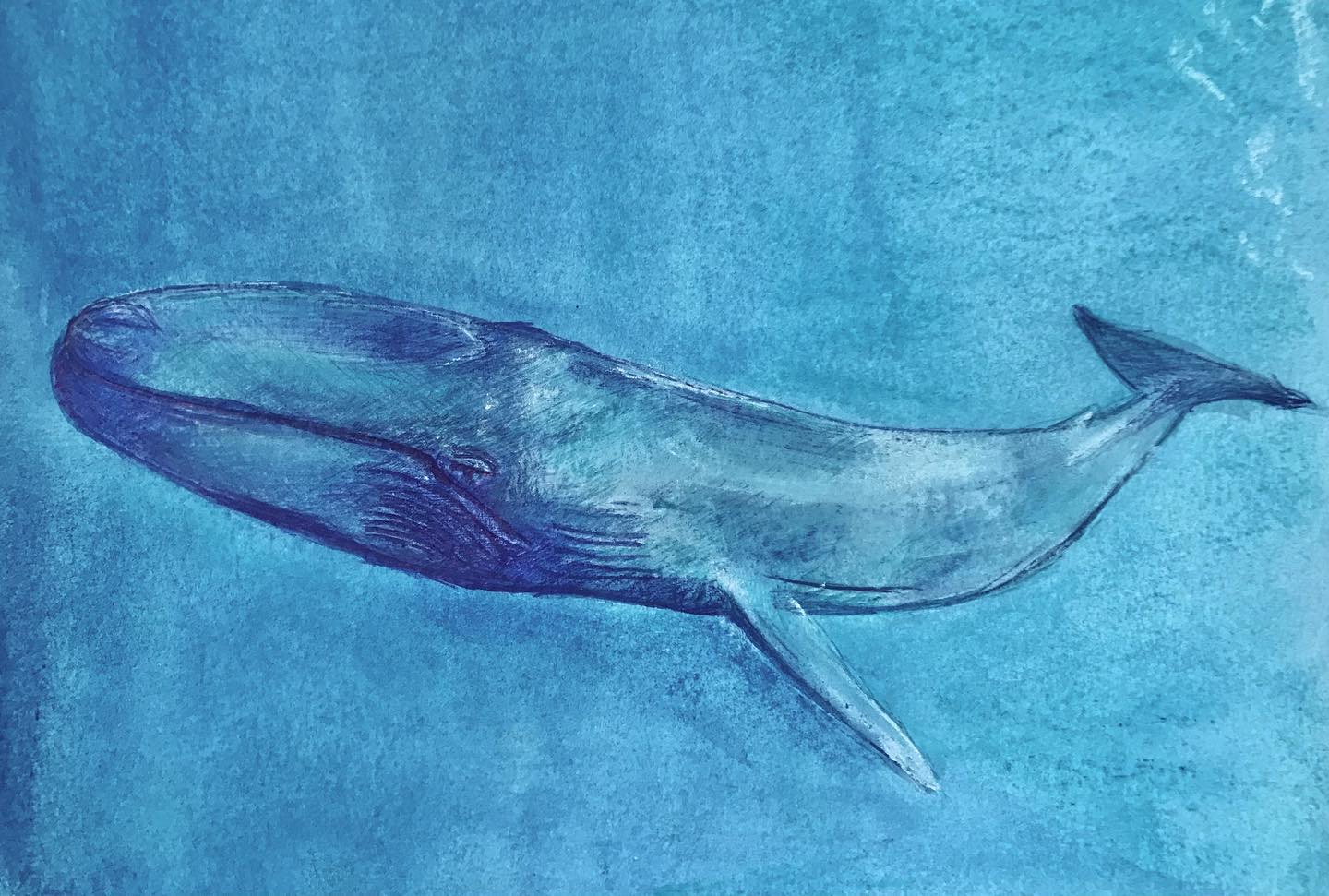 BLUE WHALE 2022
