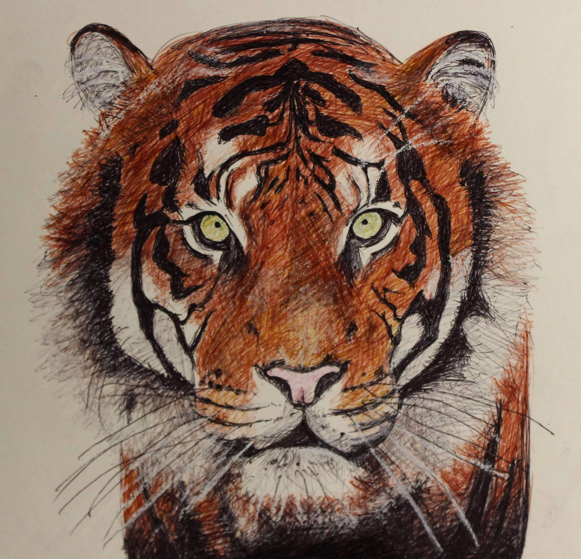 TIGER 2021