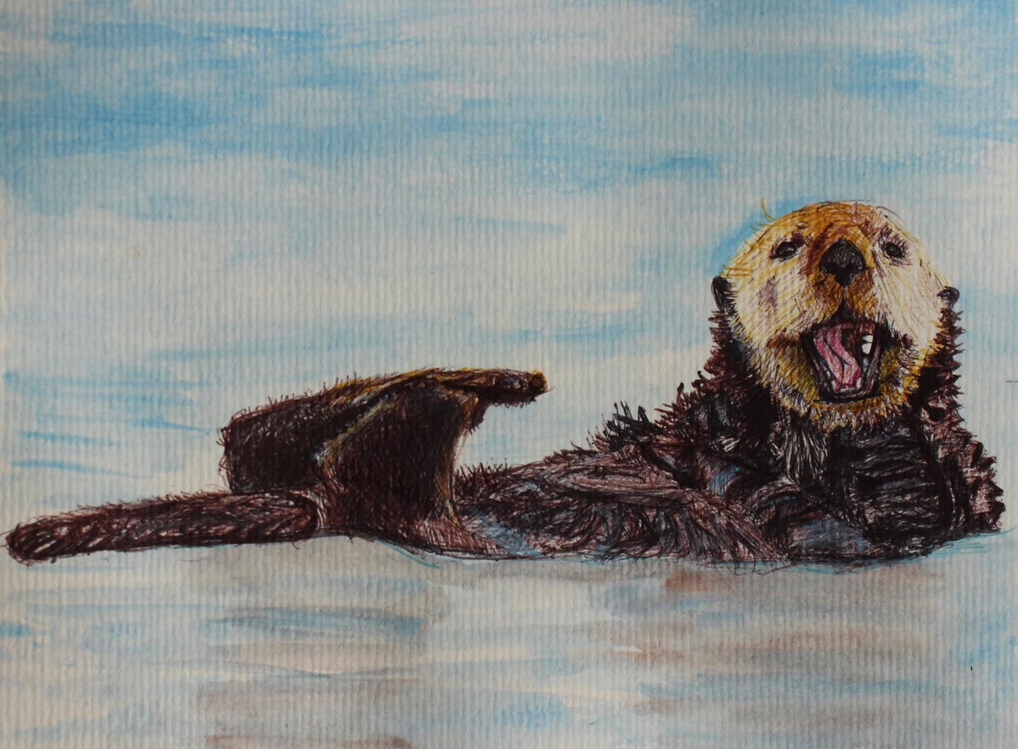 SEA OTTER 2023